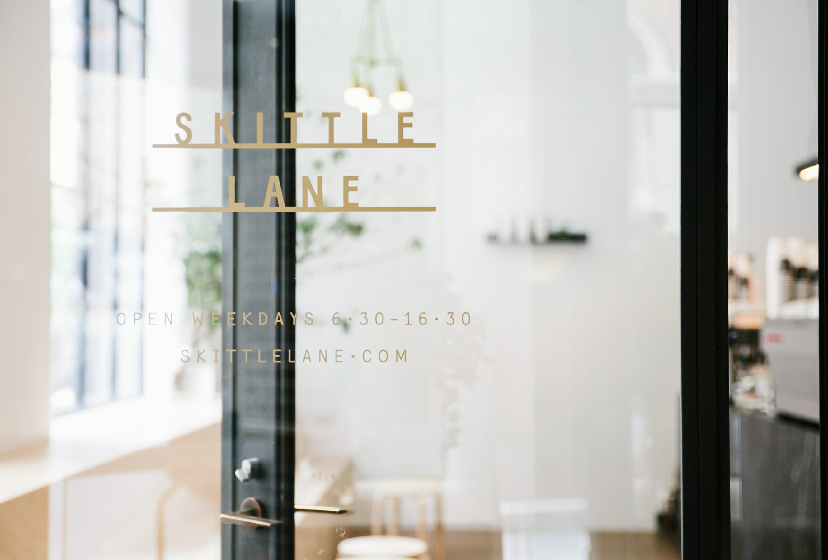 SW_PROJECT_SKITTLELANE